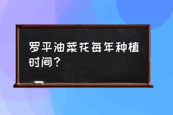 云南罗平油菜花最佳旅游季节 罗平油菜花每年种植时间？