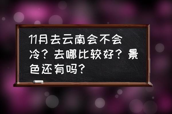 冬天去云南旅游攻略最佳时间 11月去云南会不会冷？去哪比较好？景色还有吗？