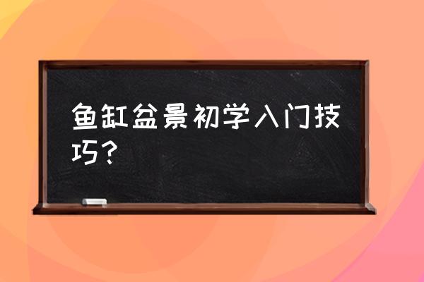 草缸开缸教程新手入门需要什么 鱼缸盆景初学入门技巧？