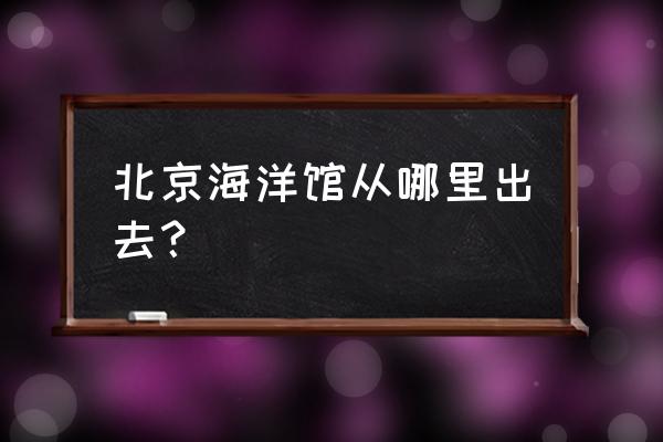 北京海洋馆最佳游玩顺序表 北京海洋馆从哪里出去？