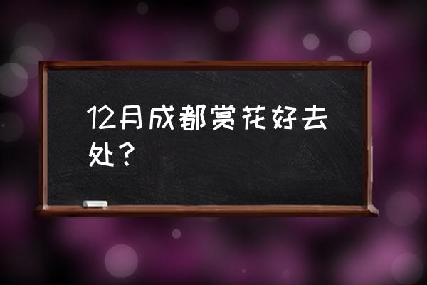 成都周边看桃花最佳地点 12月成都赏花好去处？