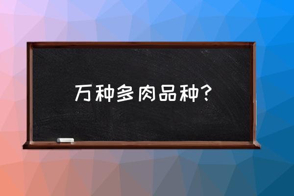 姬红小松的根怎么养大 万种多肉品种？